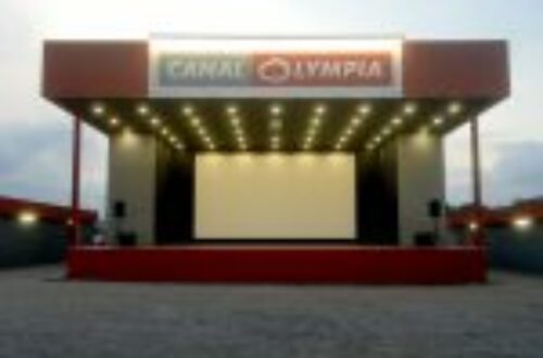 Article : Voici pourquoi les Camerounais ont déserté les salles de cinéma (1/2)