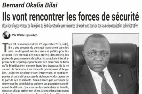 Article : Comprendre le positionnement des acteurs dans la crise anglophone au Cameroun