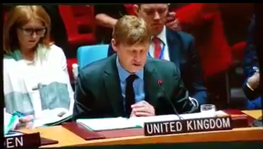 Article : Pourquoi la voix du peuple camerounais n&rsquo;a jamais porté à l&rsquo;ONU ?