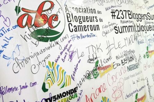 Article : Au Cameroun, on parle du blogging dans un sommet